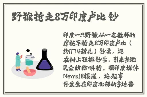 精品视频久久国产成人